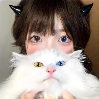 伸冤人第四季